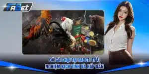 Đá gà chọi
