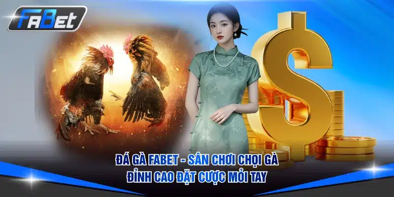 Đá Gà FABET - Sân Chơi Chọi Gà Đỉnh Cao Đặt Cược Mỏi Tay