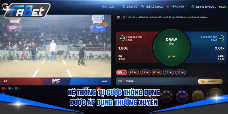 Hệ thống tụ cược thông dụng được áp dụng thường xuyên