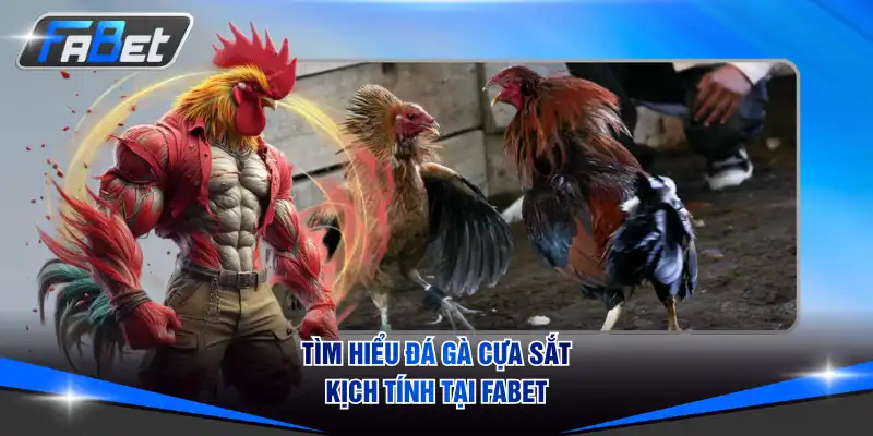 Tìm hiểu đá gà cựa sắt kịch tính tại FABET